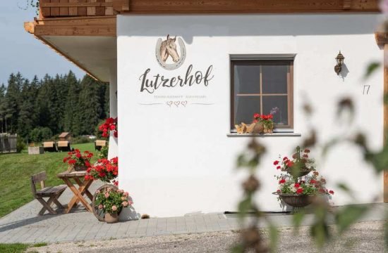 lutzerhof-taisten-welsberg-suedtirol (36)