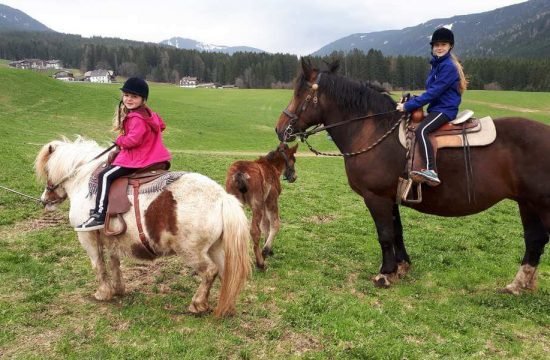 lutzerhof-taisten-welsberg-suedtirol (4)