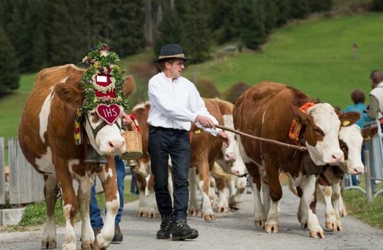 lutzerhof-taisten-welsberg-suedtirol (46)