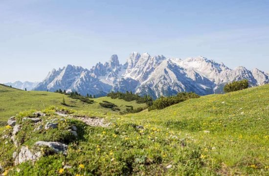 lutzerhof-taisten-welsberg-suedtirol (48)