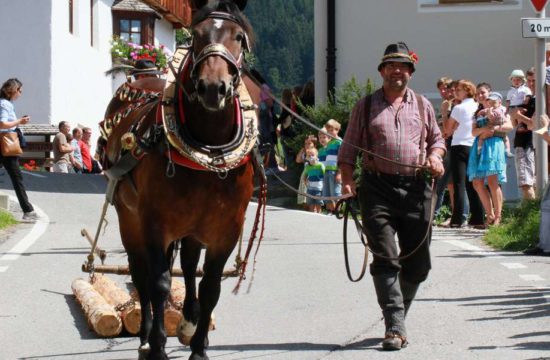 lutzerhof-taisten-welsberg-suedtirol (60)