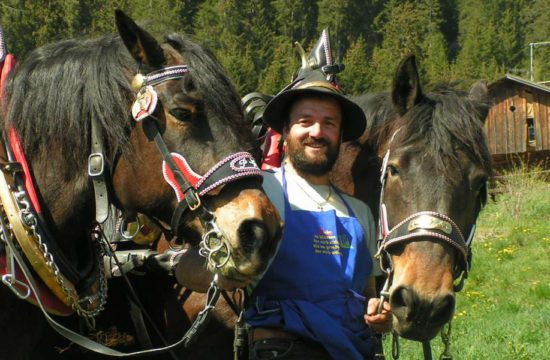 lutzerhof-taisten-welsberg-suedtirol (7)